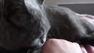 VLOG Хорошая новость