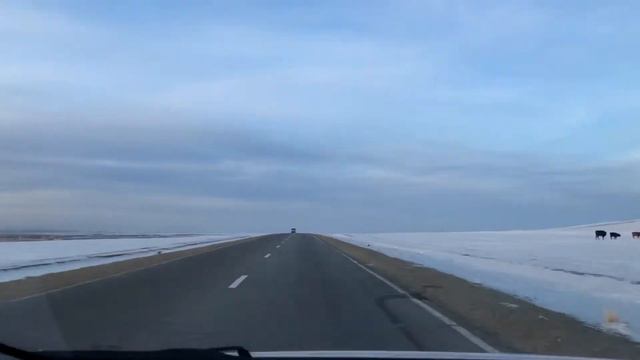 Эухарис цэцэглэв. Охин Солонгосоос ирлээ. смотреть онлайн