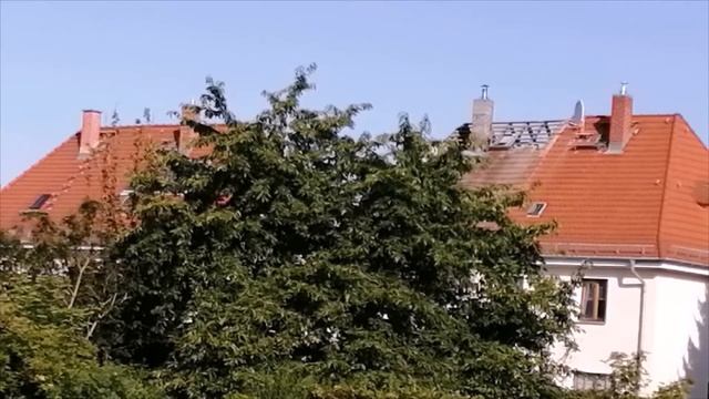 Чужая крыша смотреть онлайн