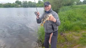 #blackbaits online  Breaden Glamour Rock Fish Trevalism Kabin