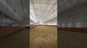 Групповые занятия в большом теплом манеже!