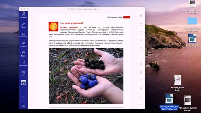 Как конвертировать PDF на Mac? Как редактировать PDF?