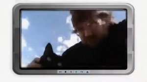 Бомбейская кошка