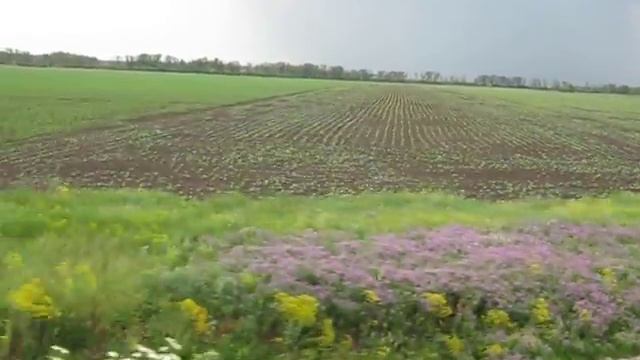 Красивый вид из окна поезда смотреть онлайн