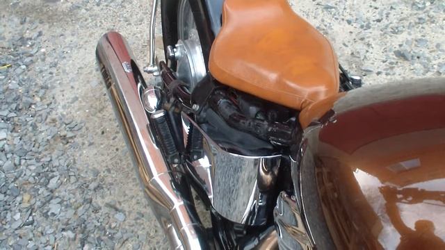 Steed Custom