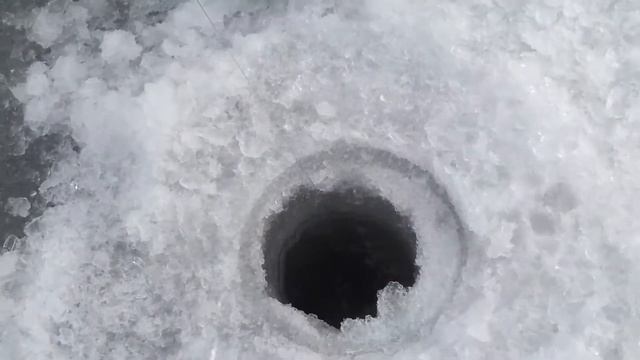 Ловля на жерлицу. Андреевка Донецк смотреть онлайн