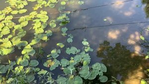 Путешествие в Казань/ Из Челябинска в Казань/ автобусный тур/ адские муки