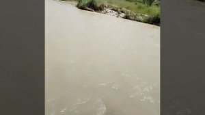 Рыбалка на усача на реке Нальчик
