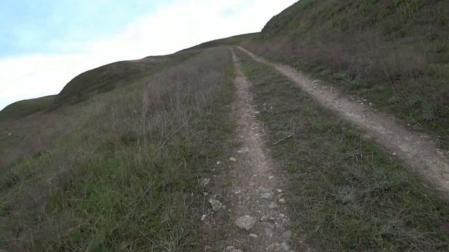 ТАМАНСКИЕ СТЕПНЫЕ ПЕЙЗАЖИ/ ДИКИЕ ТЮЛЬПАНЫ. смотреть онлайн