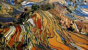 РИСОВЫЕ ПОЛЯ В КИТАЕ (China's most breathtaking rice paddies)