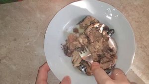 Как приготовить рыбные котлеты из консервы