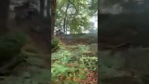 CF Moto ?? 1000 Can-am 450 . Deutschland ?? Quad fahren ???