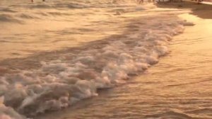 Фортепиано история создания уроки музыки онлайн