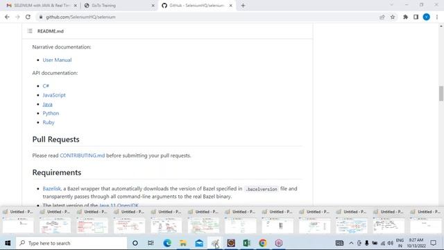 SELENIUM with JAVA tutorials || Demo - 2 || by Mr. Vasu On 13-10-2022 @8AM IST