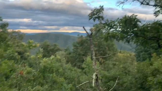 Лайки загнали двух медведей за вечер! смотреть онлайн