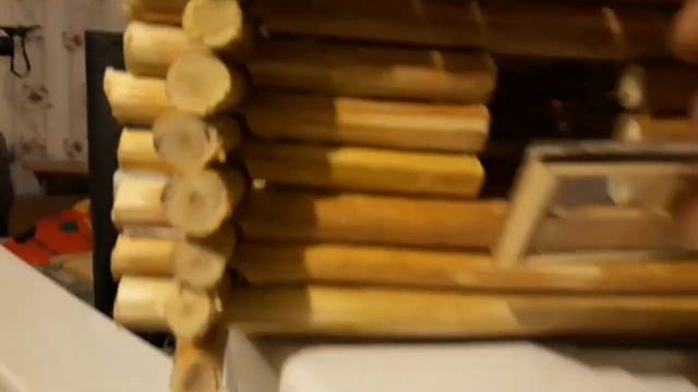 Как найти материал в лесу и сделать домик для морских свинок смотреть онлайн