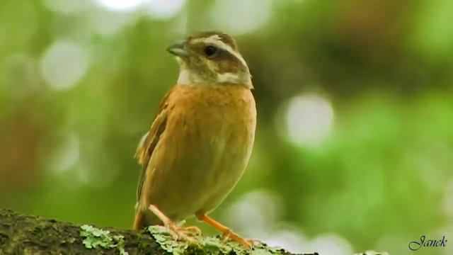 От  Весёлых ребят   всем весёлым ребятам с добрыми пожеланиями !!!!!