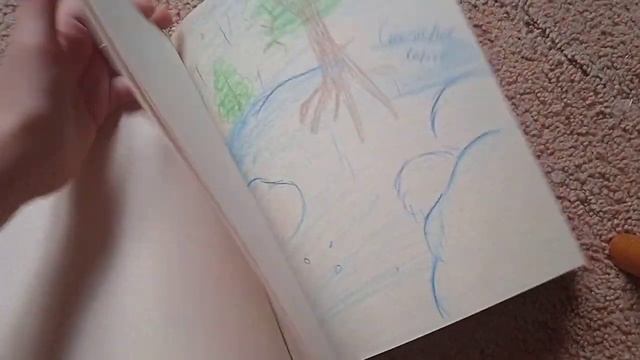 обзор скетчбука   Коты Воители 6 JiniFors 