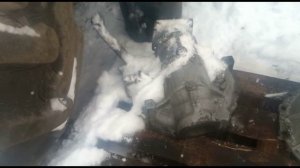 МТЗ 82 продолжаем перебирать передний мост.