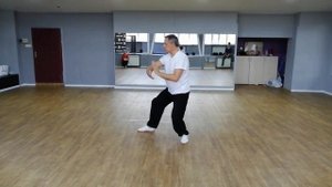 Янши Тайцзи-цюань стиль Ян "Поймать воробья за хвост слева и справа". Тайцзи с доктором Бутримовым.