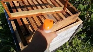 Как заставить пчел подняться в магазин? ЧАСТЬ ПЕРВАЯ