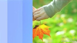 Легран "Осенняя грусть",Оркестр Поля Мориа