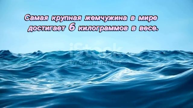 Факт №1