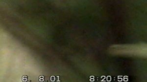 Бабуля и цветы !!! Манюша наблюдает за мясом !!!