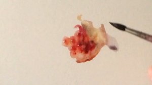 Гранат, акварель _ watercolor #акварель #watercolor #живопись