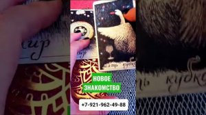 НОВОЕ ЗНАКОМСТВО Гадание Таро Онлайн shorts Светлана ВЕДА
