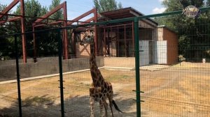 Ростовский зоопарк  (часть 1)