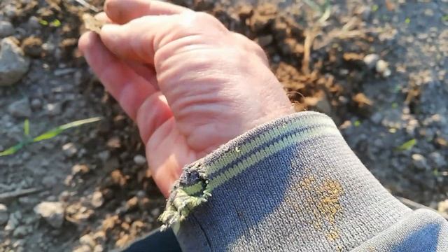 Копаю от рассвета до заката! смотреть онлайн