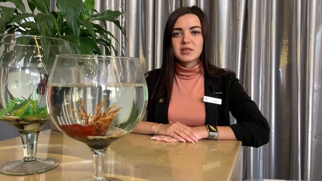 Рыбки-петушки: как ухаживать за аквариумной рыбкой | Екатеринбург смотреть онлайн