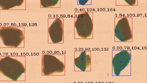 Сепаратор TDS