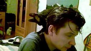 Человек и кошка