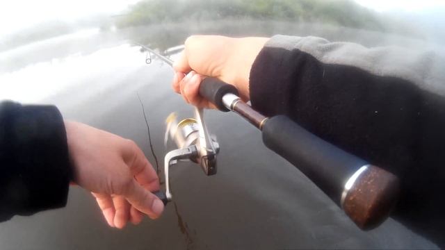 Жара закончилась и рыба начинает охоту... смотреть онлайн