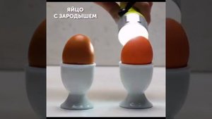 ЛАИФХАК КАК ОПРЕДЕЛИТь КАЧЕСТВО ПРОДУКТОВ