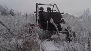 Багги Луаз Автопилот