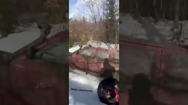 Там где волки сра*ь боятся!! смотреть онлайн