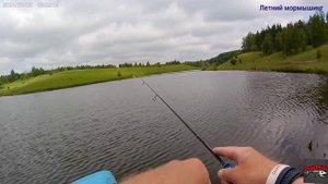 Цель карасей на мормошку 03.06.2024г