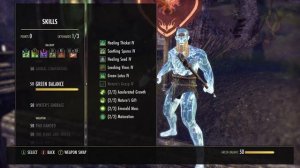 ESO [Greymoor] Stamina Warden PvP Build-Tyr's Wrath