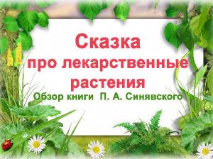 «Сказка про лекарственные растения» Обзор книги  П. А. Синявского.mp4