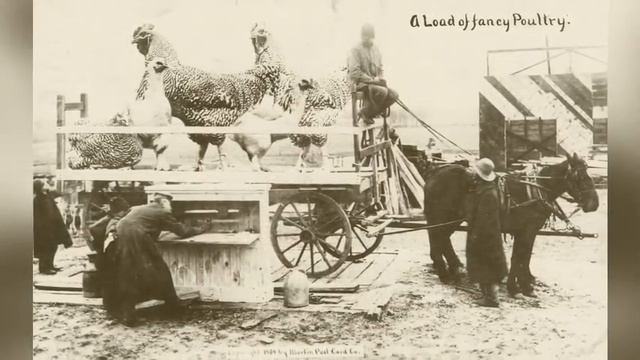 Фотографии старинных весов, гирь, безменов в мировой истории ч2. Музей Мер и Весов