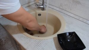 Измельчитель WASTE FIGHTER F-52 Premium compact и грецкие орехи.