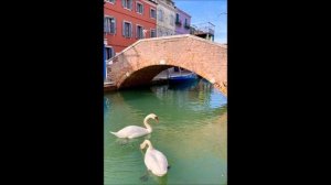 Что происходит сейчас в каналах Венеции. В Венеции стало видно дно Очистилась вода в каналах Венеци