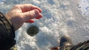 Подвесной крючек с м...ошкой в глухозимье не пропустите момент!!!