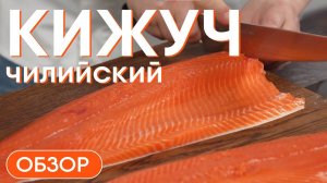 КИЖУЧ из Чили. Обзор и разделка красной аквакультурной рыбы семейства лососевых.