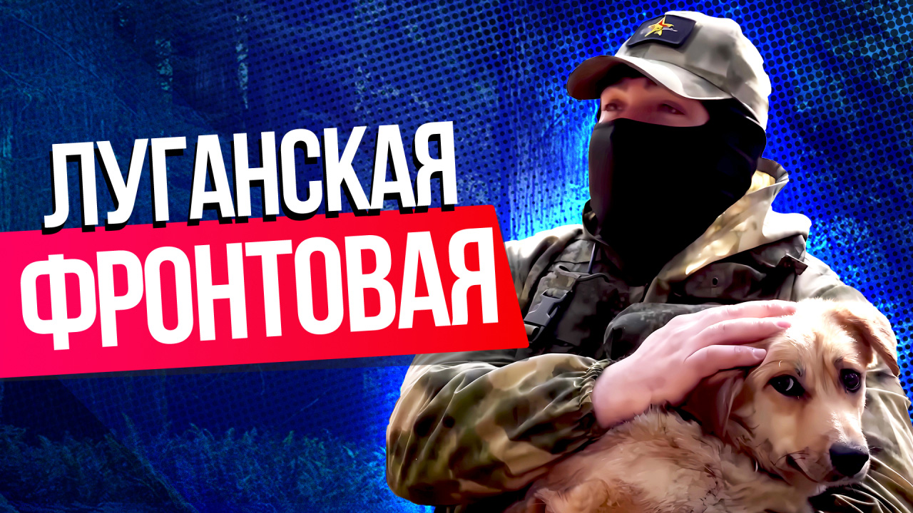 Cобака по кличке Альба помогла военным на СВО