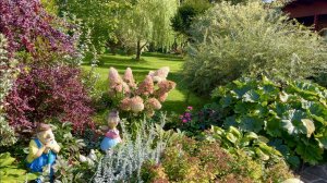 ОСЕННИЙ САД. ДАРМЕРА / ГОРТЕНЗИИ / АСТРЫ / БАРХАТЦЫ и др. Середина сентября. Дачный креатив.