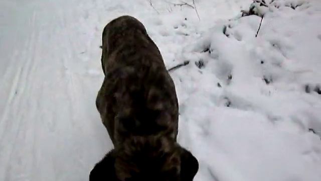 Изображение 1853.mov смотреть онлайн